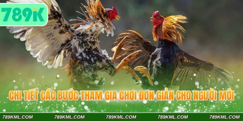 Đá Gà Cựa Sắt 789K - Trải Nghiệm Dễ Hơn Với Tin Luật Chi Tiết 4 Chi tiết các bước tham gia chơi đơn giản cho người mới