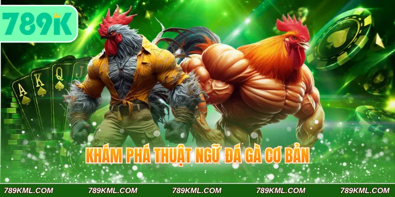Khám phá thuật ngữ cơ bản trong loại hình đá gà