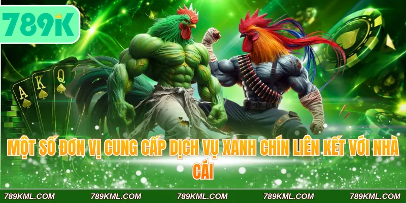 Một số đơn vị cung cấp dịch vụ xanh chín liên kết với nhà cái