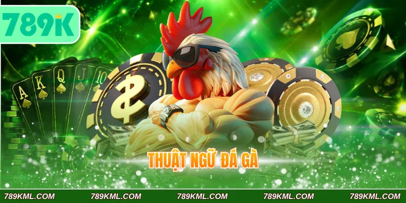Thuật ngữ đá gà