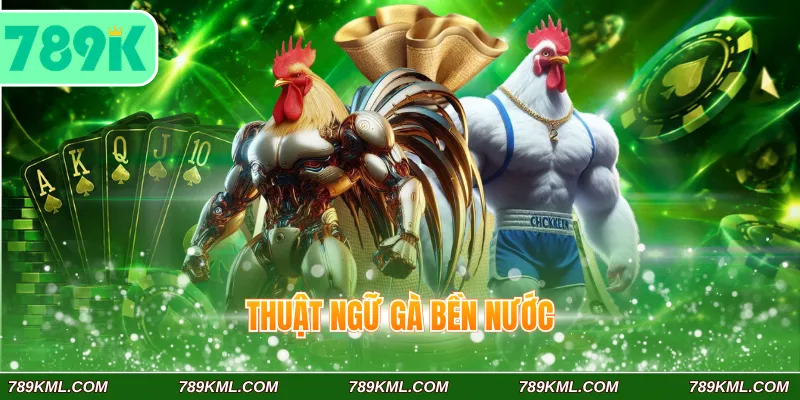 Thuật ngữ gà bền nước